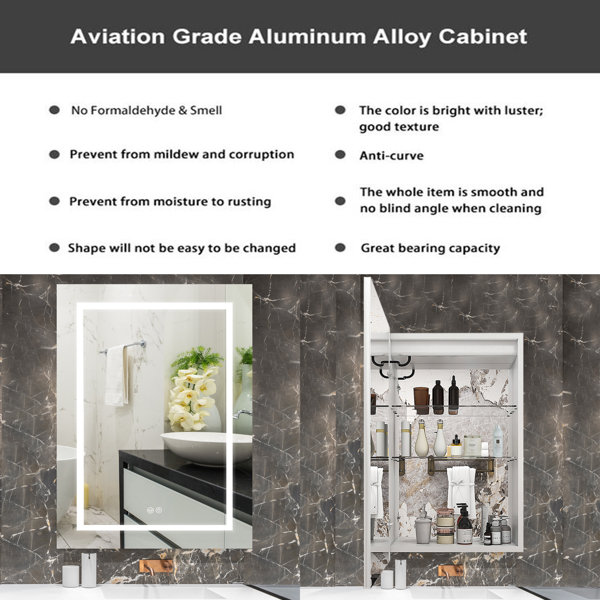 Wrought Studio Balmes Surface Mount Framed 1 Door Medicine with